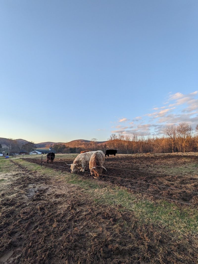 Planning Your Visit To The Foothills