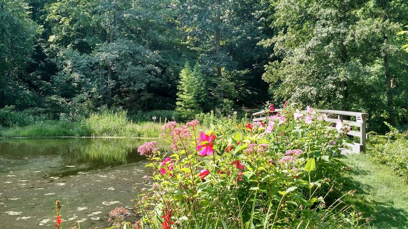 Plantings That Change the Walk