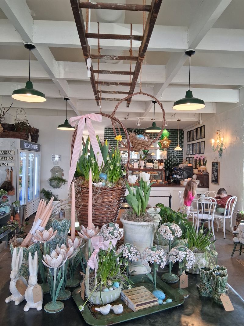 Plants That Turn Errands Into Browsing Time Plants That Turn Errands Into Browsing Time