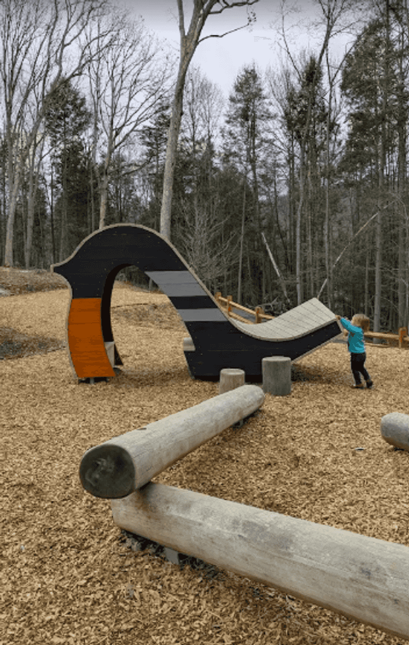 Playground Fun and the Nature Center