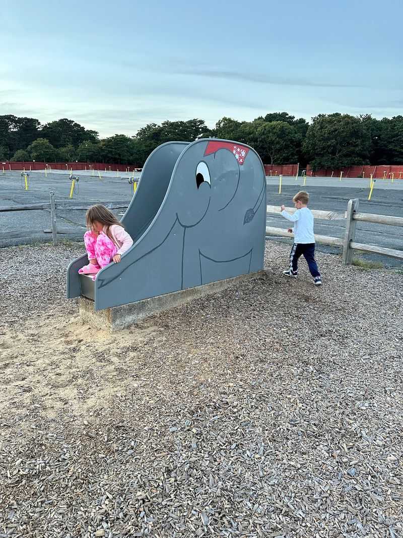 Playground Time Before Dark