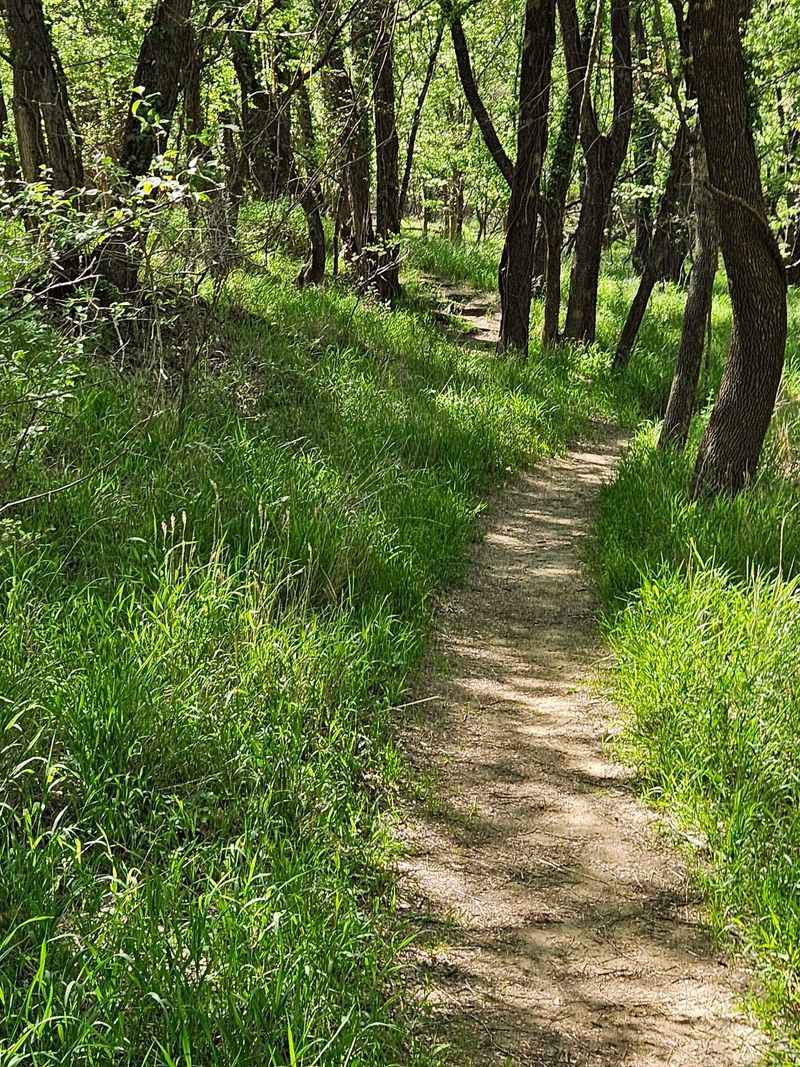 Poems Along the Path and Quiet Resting Spots Poems Along the Path and Quiet Resting Spots