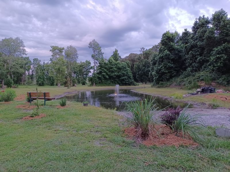 Pond Views and a Watchdog Named Bear Pond Views and a Watchdog Named Bear