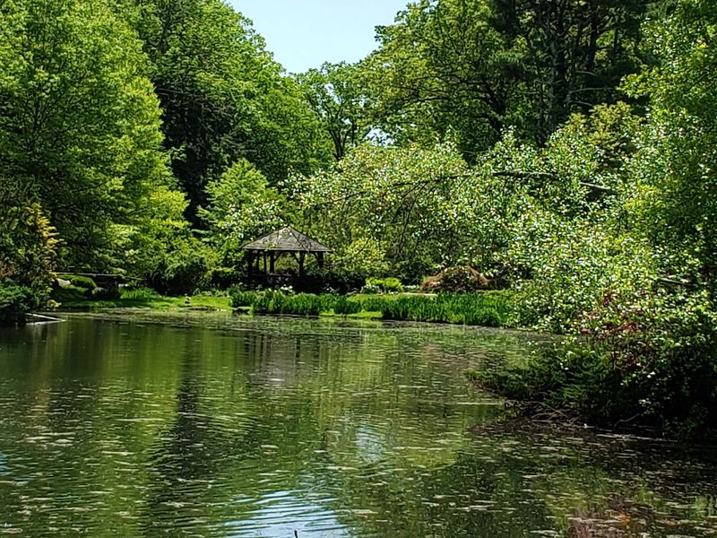 Ponds And Paths That Set The Pace