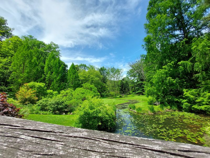 Ponds, Streams, and Lily Pads
