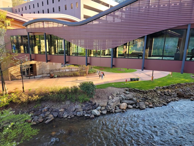 Pools, Firepits, and a River Running Through Pools, Firepits, and a River Running Through