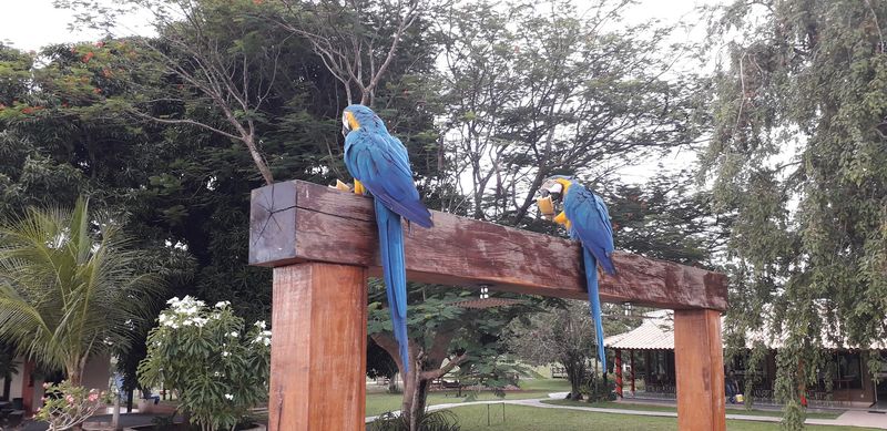 Pousada Piuval, Poconé, Mato Grosso, Brazil