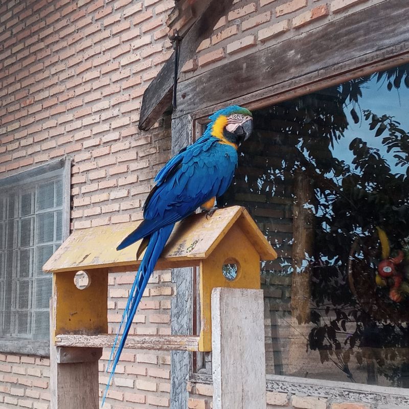 Pousada Rio Claro, Poconé, Mato Grosso, Brazil