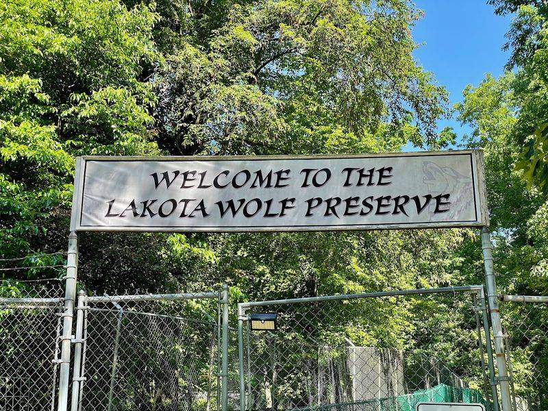 Practical Notes Before The Howl