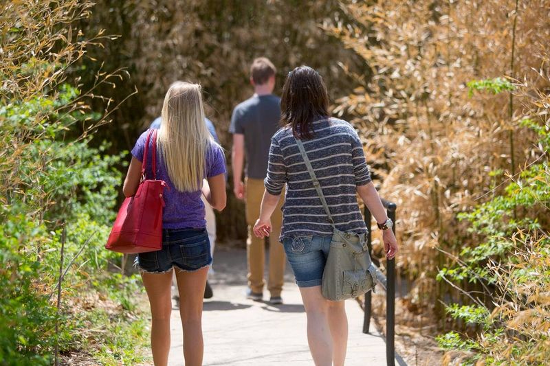 Practical Tips for Planning Your Visit