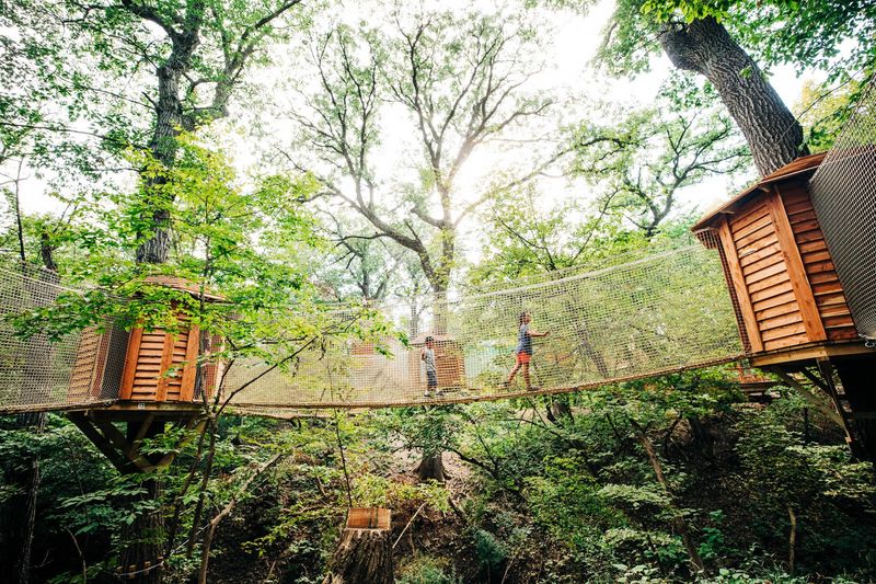 Practical Tips for Planning Your Visit to Tree Adventure Practical Tips for Planning Your Visit to Tree Adventure