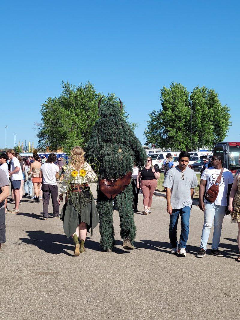 Practical Tips for Visiting the Medieval Fair at Reaves Park