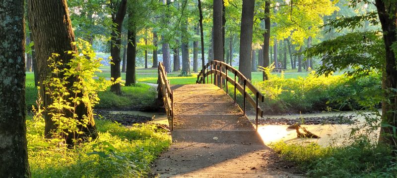 Practical Tips for Your Visit: What to Know Before You Go Practical Tips for Your Visit: What to Know Before You Go