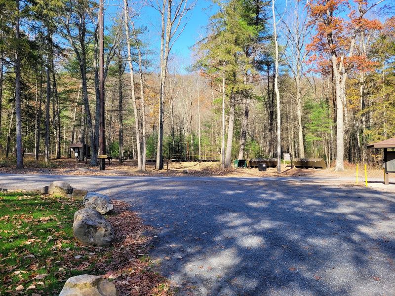 Practical Tips for a Smooth Visit to a Remote Park Practical Tips for a Smooth Visit to a Remote Park