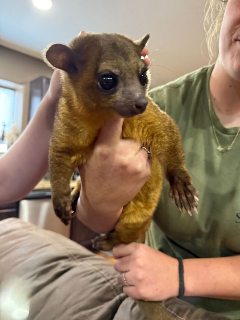 Prairie Dogs, Monkeys, and the Hands-On Tour Format