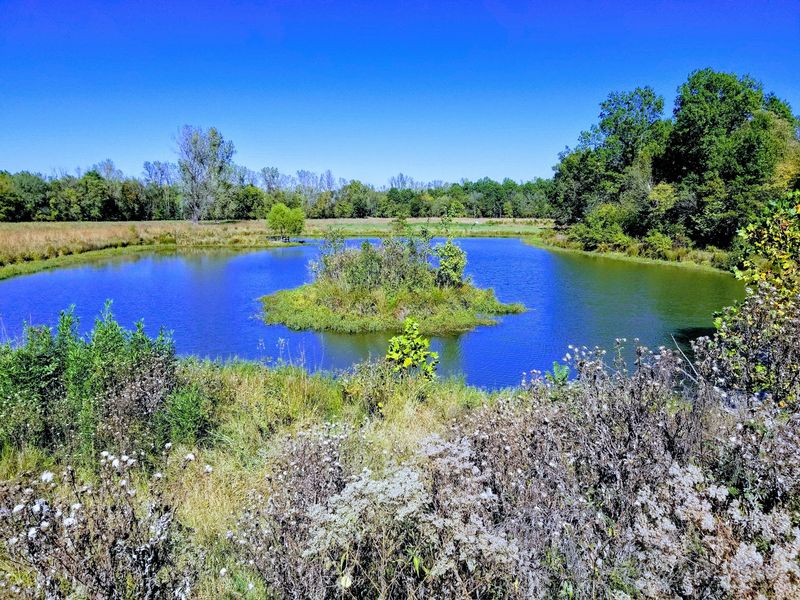 Prairie, Forest, and Habitat Variety Across the Property Prairie, Forest, and Habitat Variety Across the Property