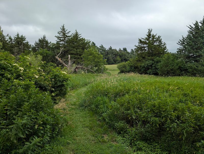 Prairie Pines Nature Preserve, Lincoln, Nebraska