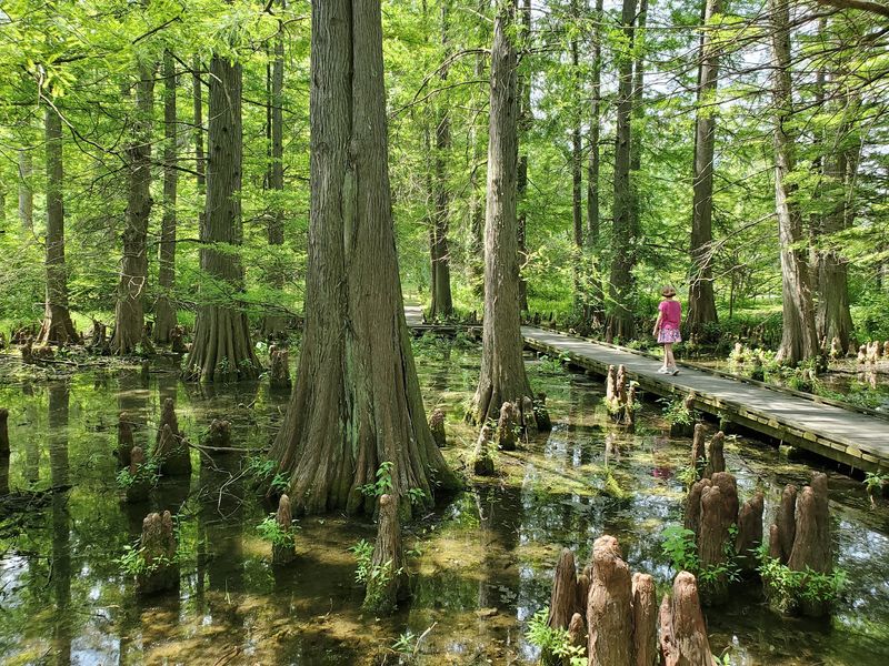 Prairie Trails And The Cypress Swamp Prairie Trails And The Cypress Swamp