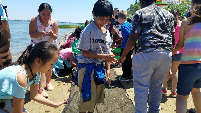 Programs That Stretch Beyond A Drop-In Visit