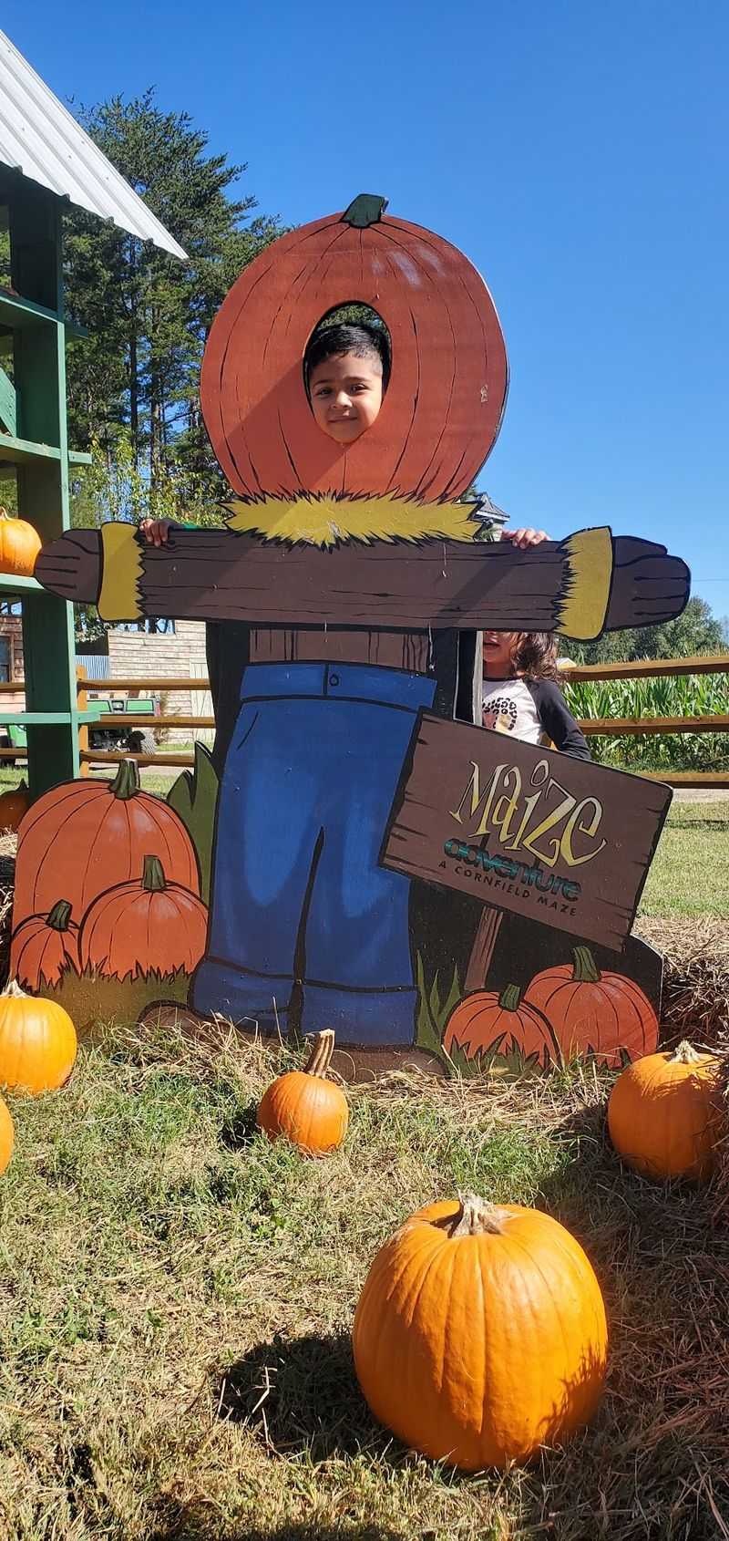 Pumpkin Patch Portraits and Seasonal Backdrops Pumpkin Patch Portraits and Seasonal Backdrops