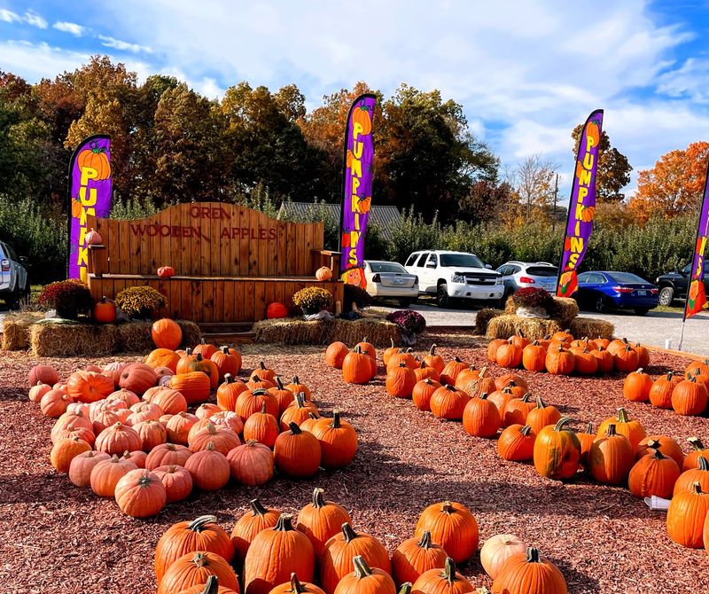 Pumpkins, Gourds, And Fall Charm Pumpkins, Gourds, And Fall Charm