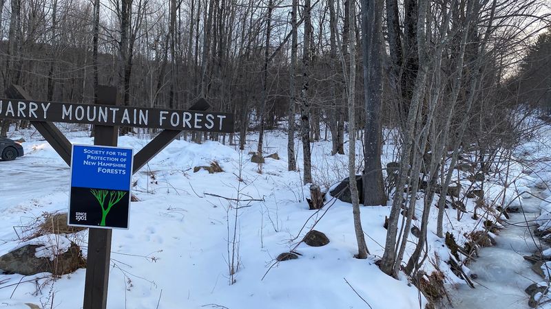 Quarry Mountain Forest, Alton, New Hampshire Quarry Mountain Forest, Alton, New Hampshire