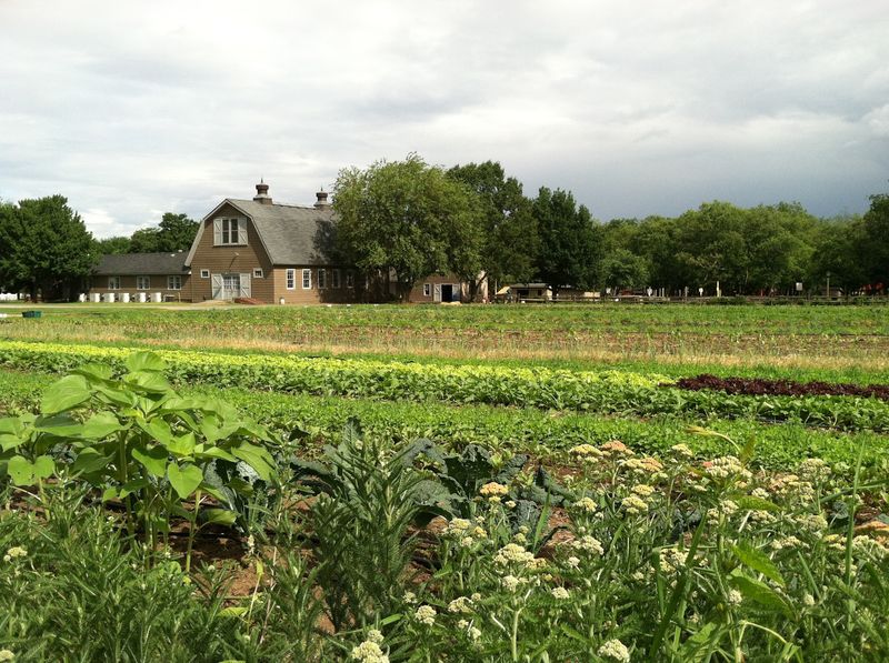 Queens County Farm Museum, Floral Park, New York Queens County Farm Museum, Floral Park, New York