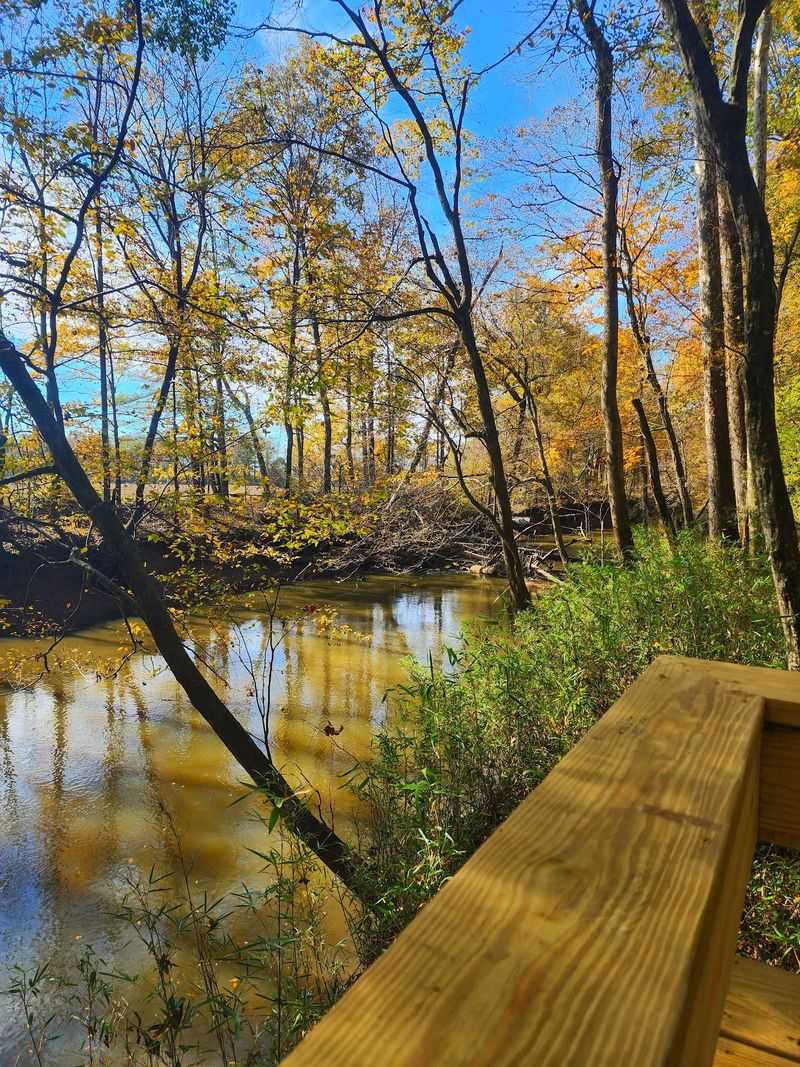 Quiet Corners and Seasonal Changes Quiet Corners and Seasonal Changes