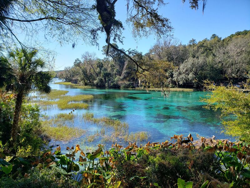 Rainbow Springs State Park, Dunnellon, FL Rainbow Springs State Park, Dunnellon, FL