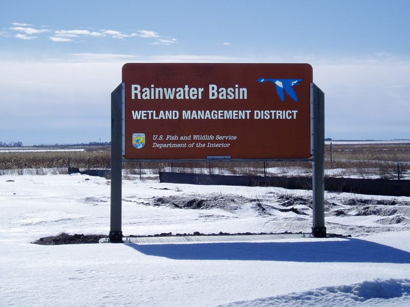 Rainwater Basin Wetland Management District, Funk, Nebraska Rainwater Basin Wetland Management District, Funk, Nebraska