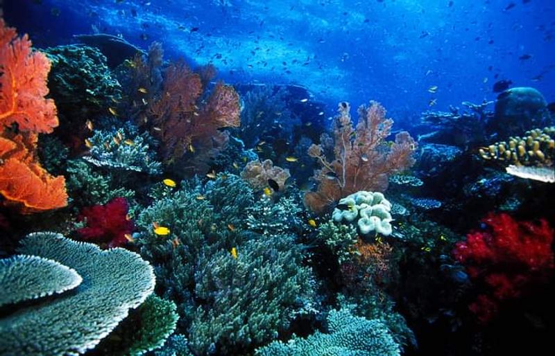 Raja Ampat, Indonesia