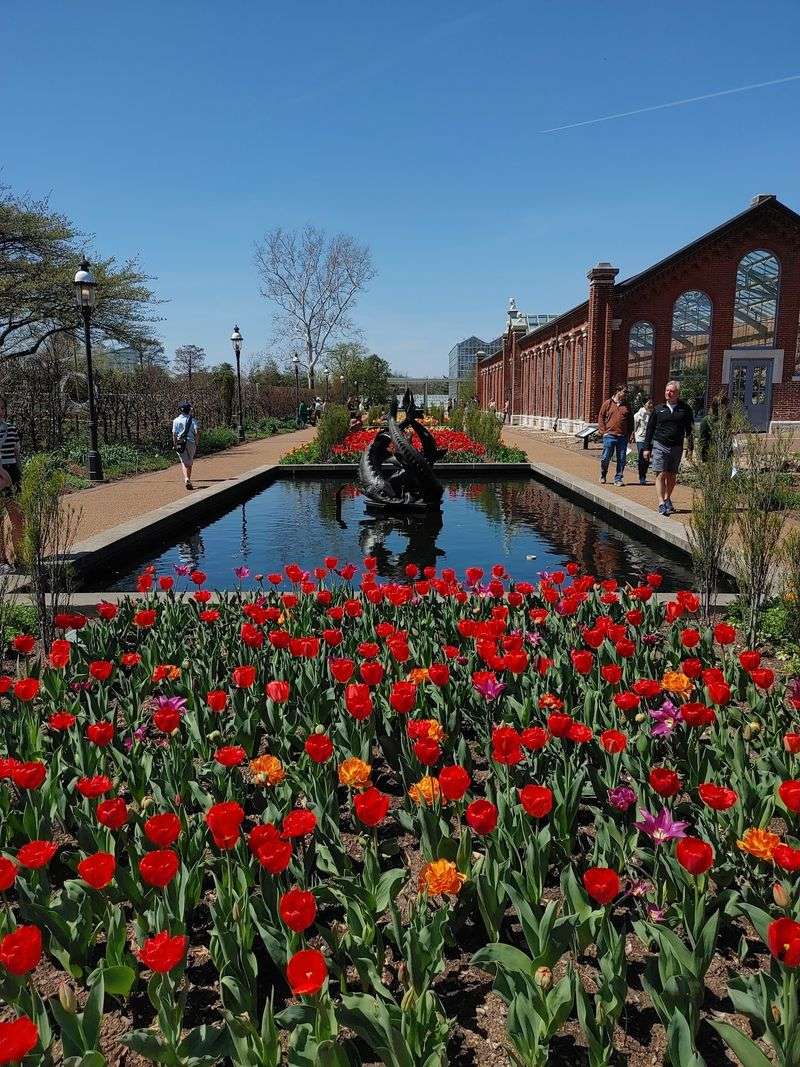 Rare Blooms and Record-Breaking Collections Worth Seeking Out Rare Blooms and Record-Breaking Collections Worth Seeking Out