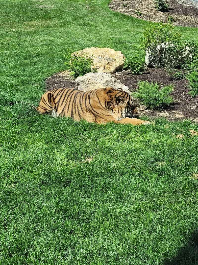 Rare and Remarkable: The Animals That Set This Zoo Apart