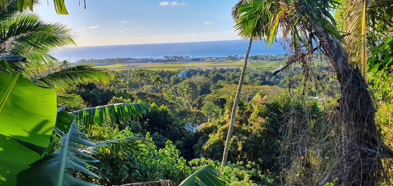 Rarotonga, Cook Islands