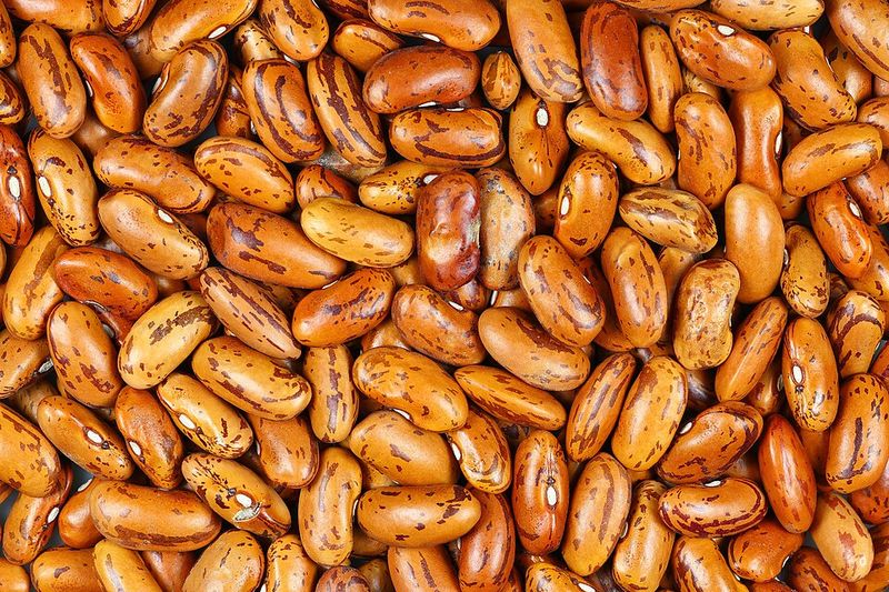 Raw Kidney Beans - Worldwide Raw Kidney Beans - Worldwide