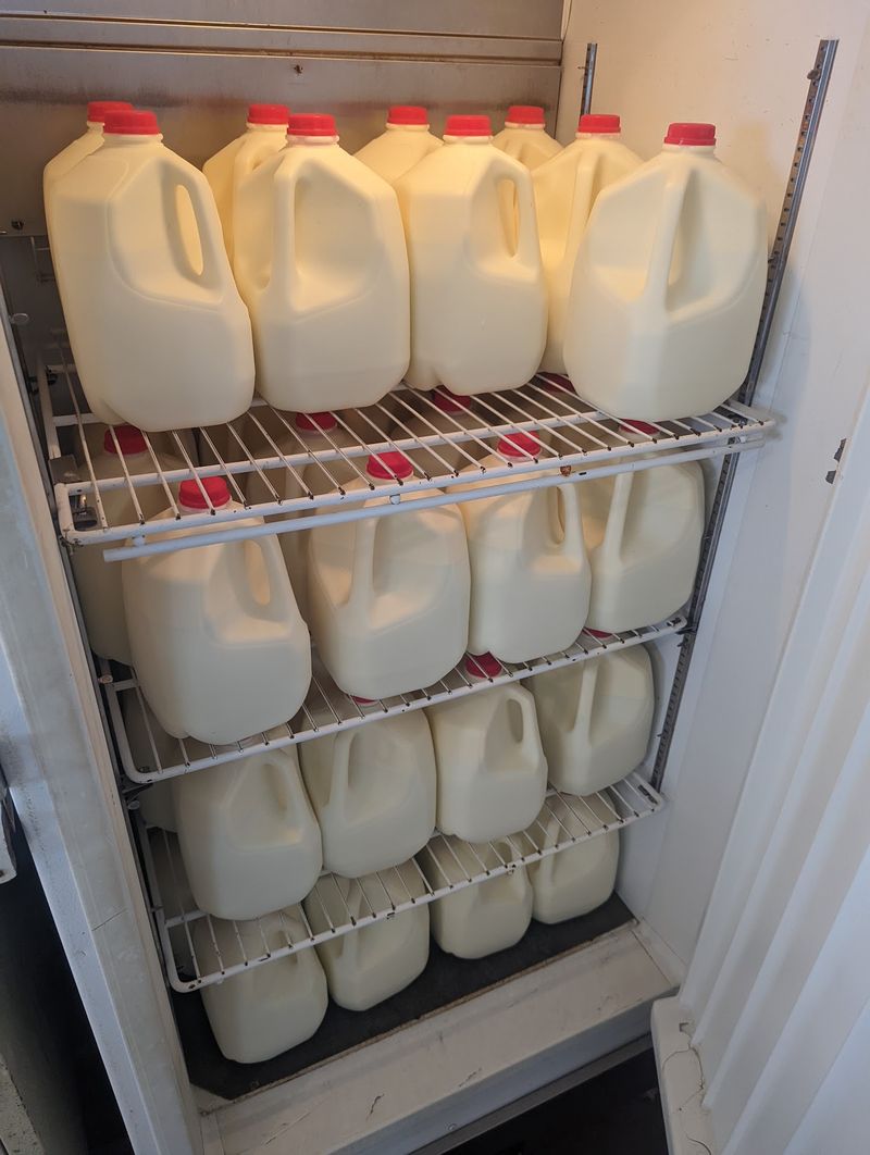 Raw Milk and What Makes It Different Raw Milk and What Makes It Different