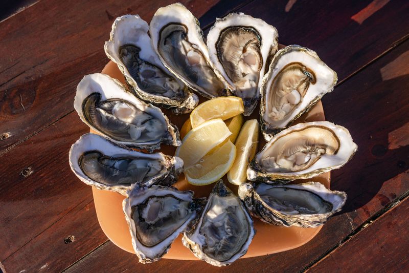Raw Oysters Can Carry Dangerous Bacteria Even When They Look Fine Raw Oysters Can Carry Dangerous Bacteria Even When They Look Fine