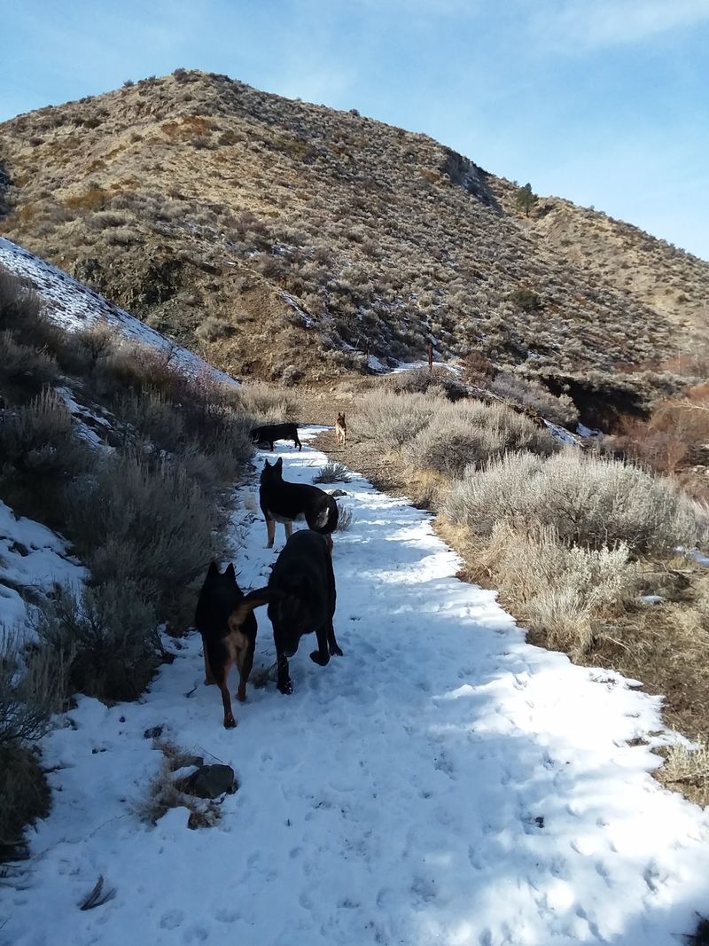 Reaching the Bottom by Old Washoe Highway Reaching the Bottom by Old Washoe Highway