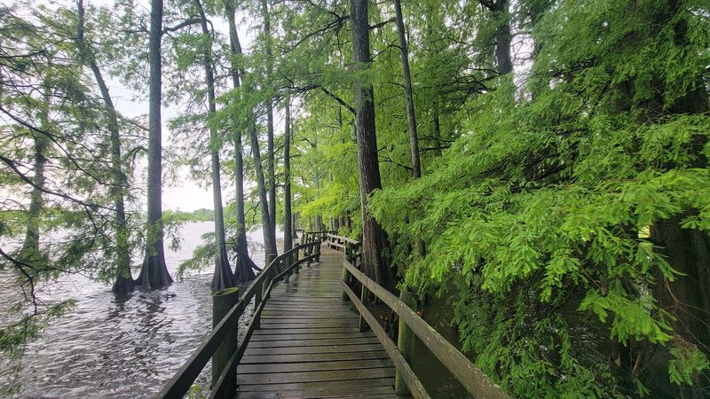 Reelfoot Lake State Park, Tiptonville, TN Reelfoot Lake State Park, Tiptonville, TN
