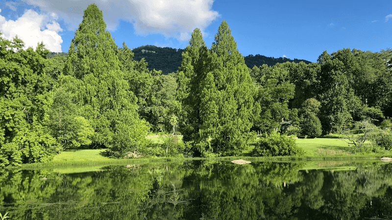 Reflection Riding Arboretum & Nature Center, Chattanooga, TN Reflection Riding Arboretum & Nature Center, Chattanooga, TN