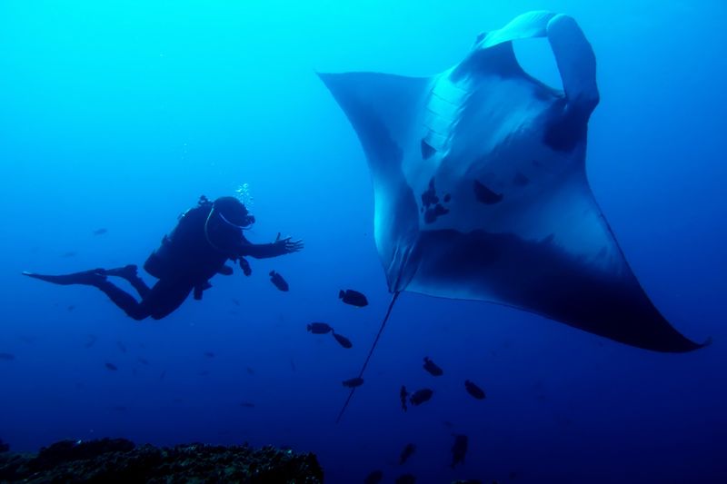 Revillagigedo Islands, Mexico