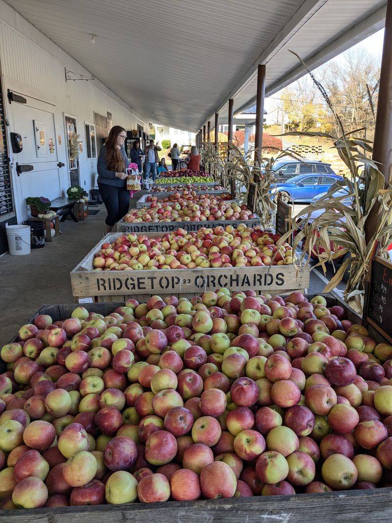 Ridgetop Orchards, Fishertown, Pennsylvania Ridgetop Orchards, Fishertown, Pennsylvania