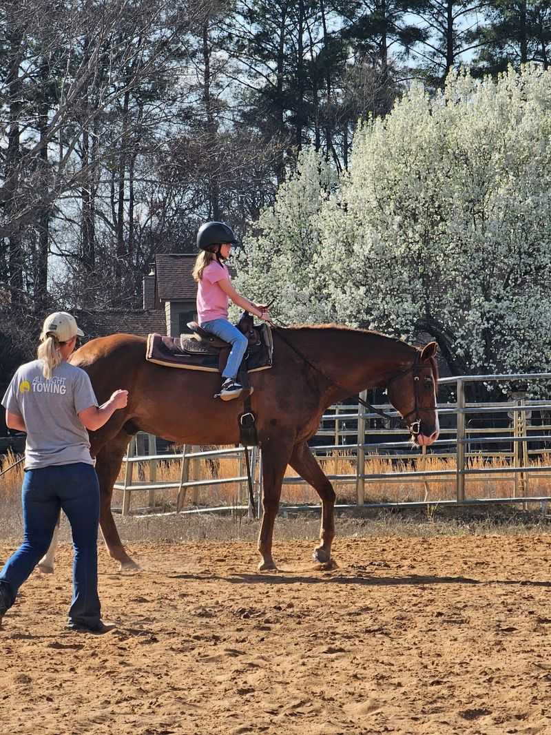 Riding Lessons Matched to Your Level Riding Lessons Matched to Your Level