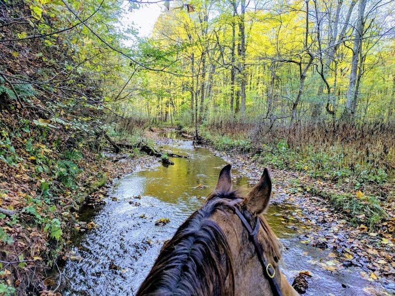 Riding the Bridle Paths Riding the Bridle Paths