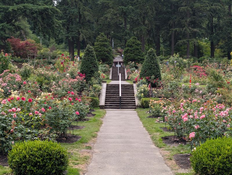 Right Beside the Japanese Garden