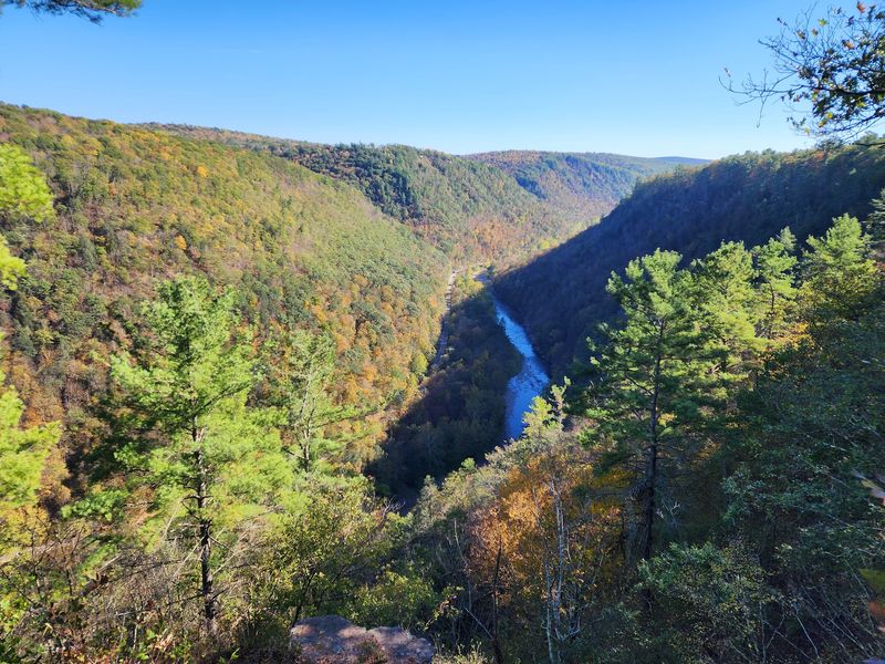 Rim Trail, Colton Point, Pennsylvania Rim Trail, Colton Point, Pennsylvania
