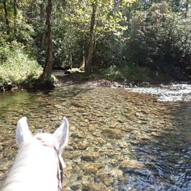 River Crossings on Horseback