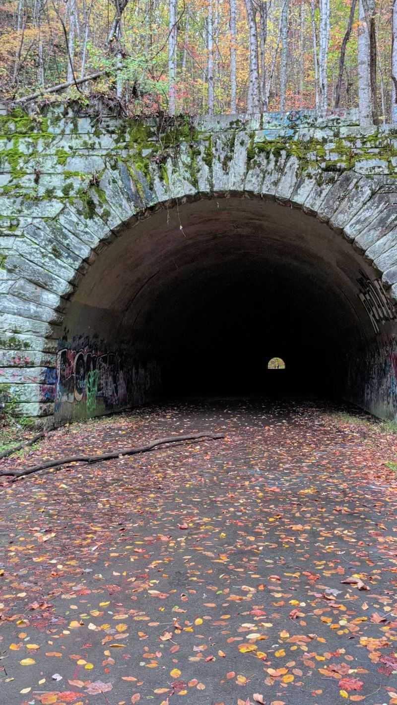 Road to Nowhere Tunnel, Bryson City, NC Road to Nowhere Tunnel, Bryson City, NC