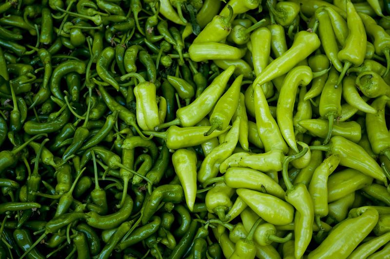 Roasted Green Chile That Draws A Crowd Roasted Green Chile That Draws A Crowd