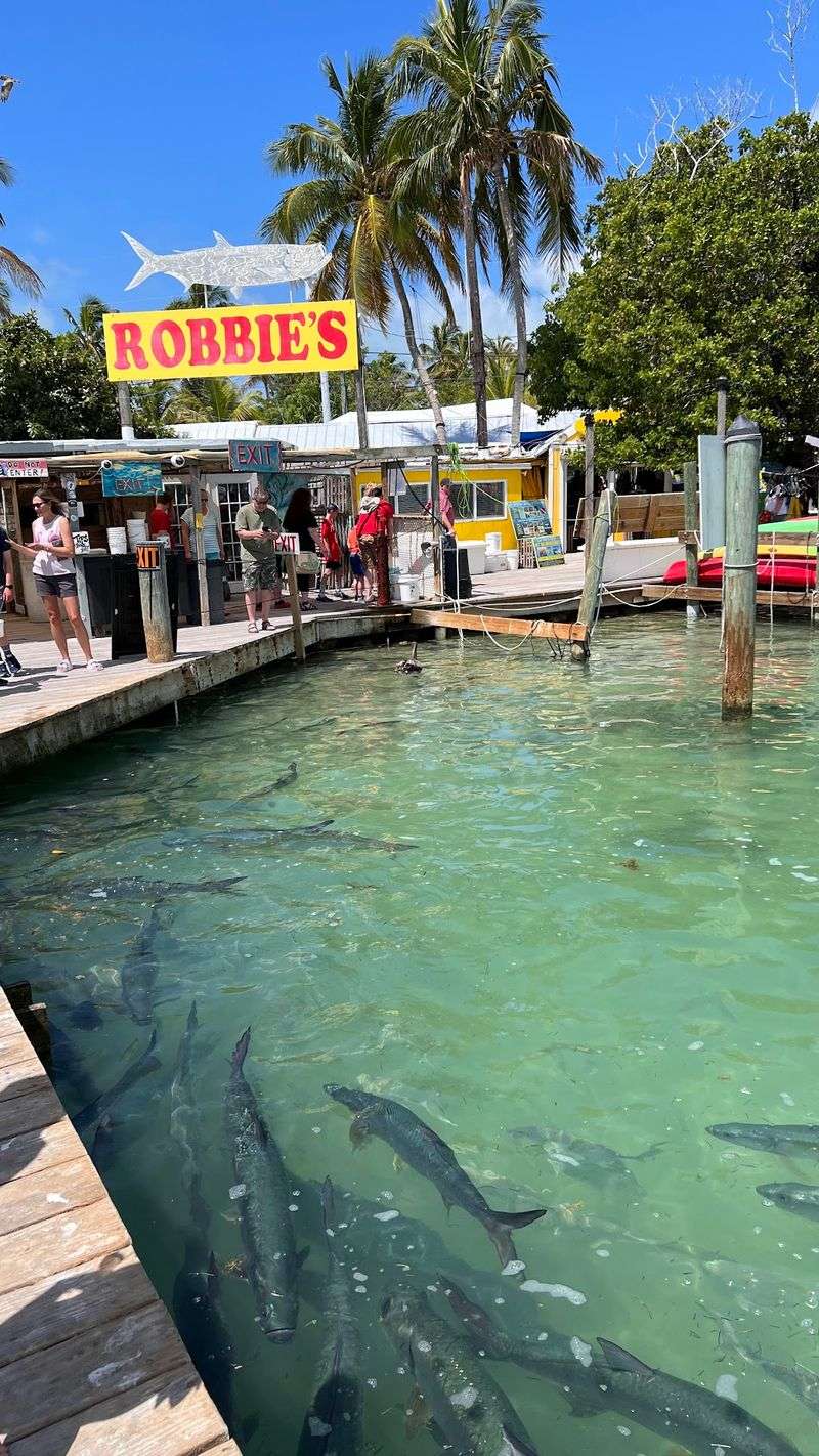 Robbie's of Islamorada, Islamorada, FL Robbie's of Islamorada, Islamorada, FL